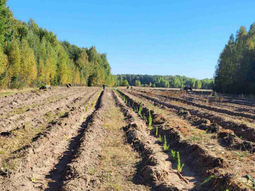 TviiLis foundation volunteers: workspace, team, etc.