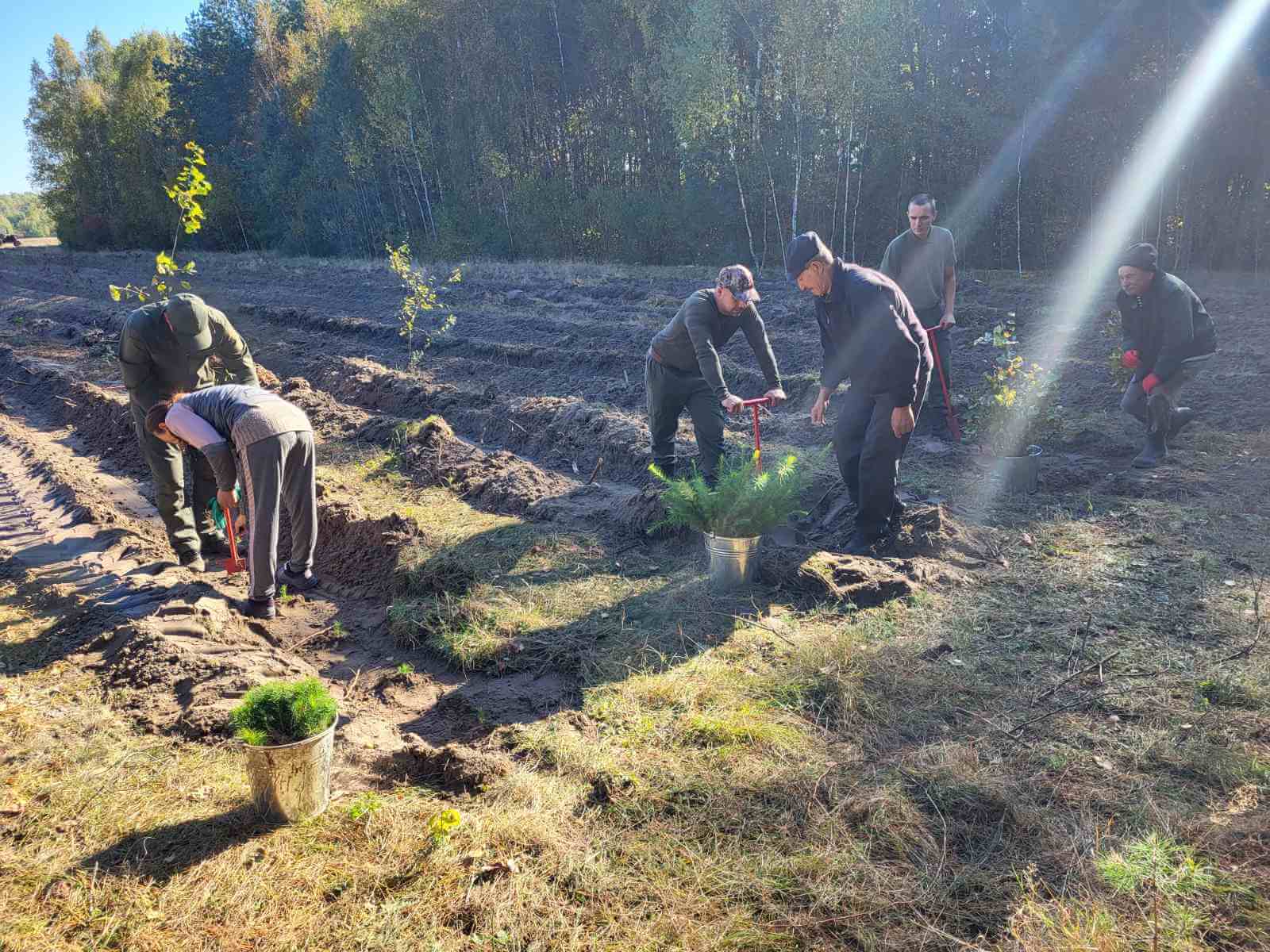 TviiLis foundation volunteers: workspace, team, etc