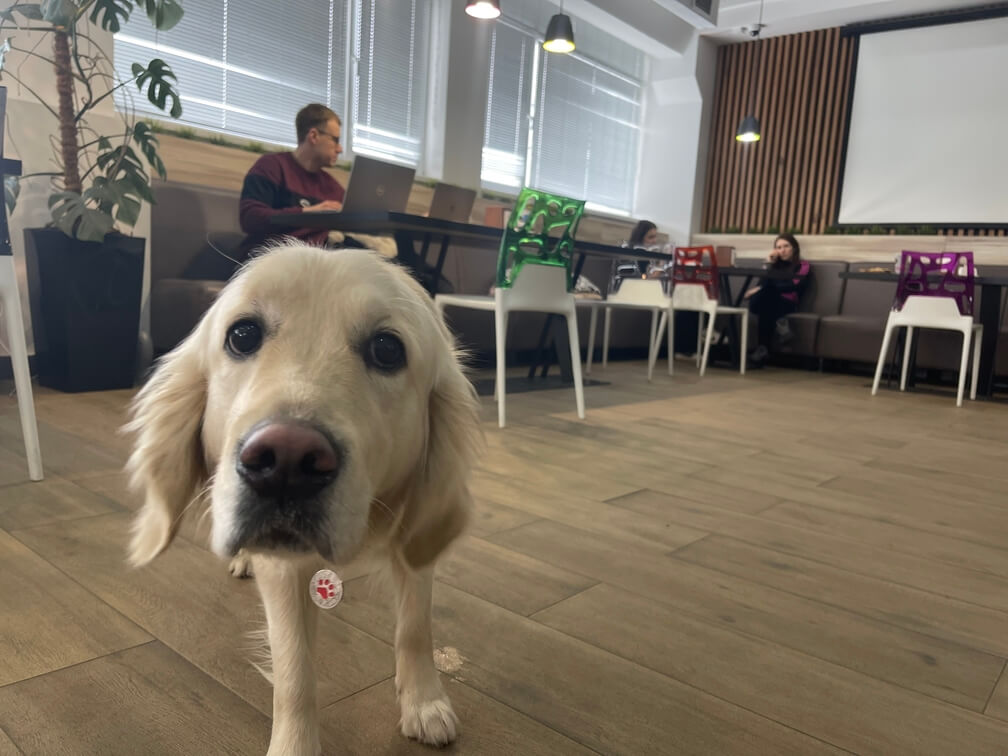 Домашните любимци са добре дошли