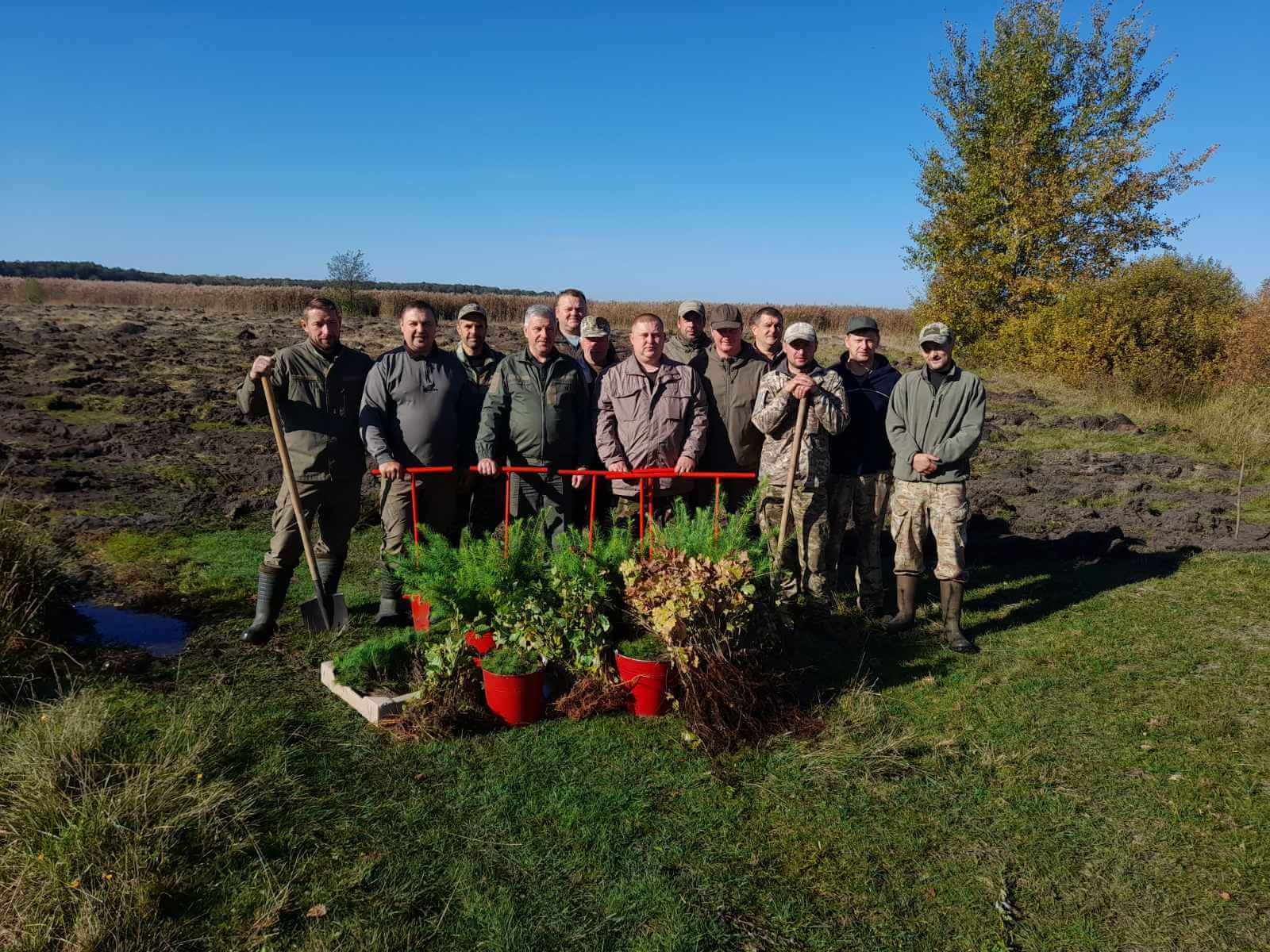 TviiLis foundation volunteers: workspace, team, etc