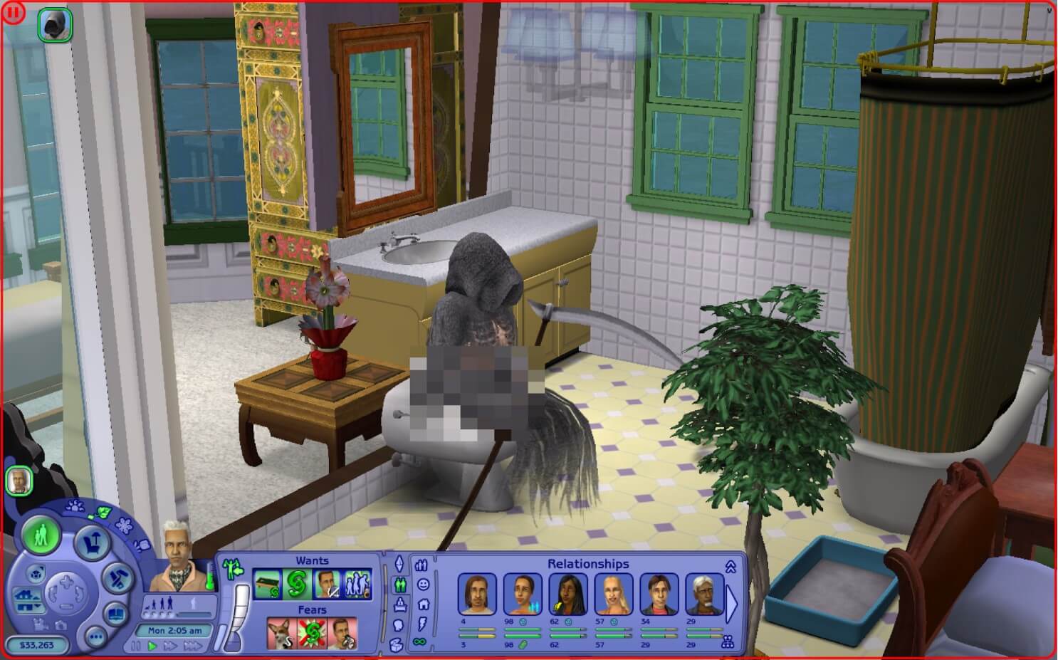 SIMS-death
